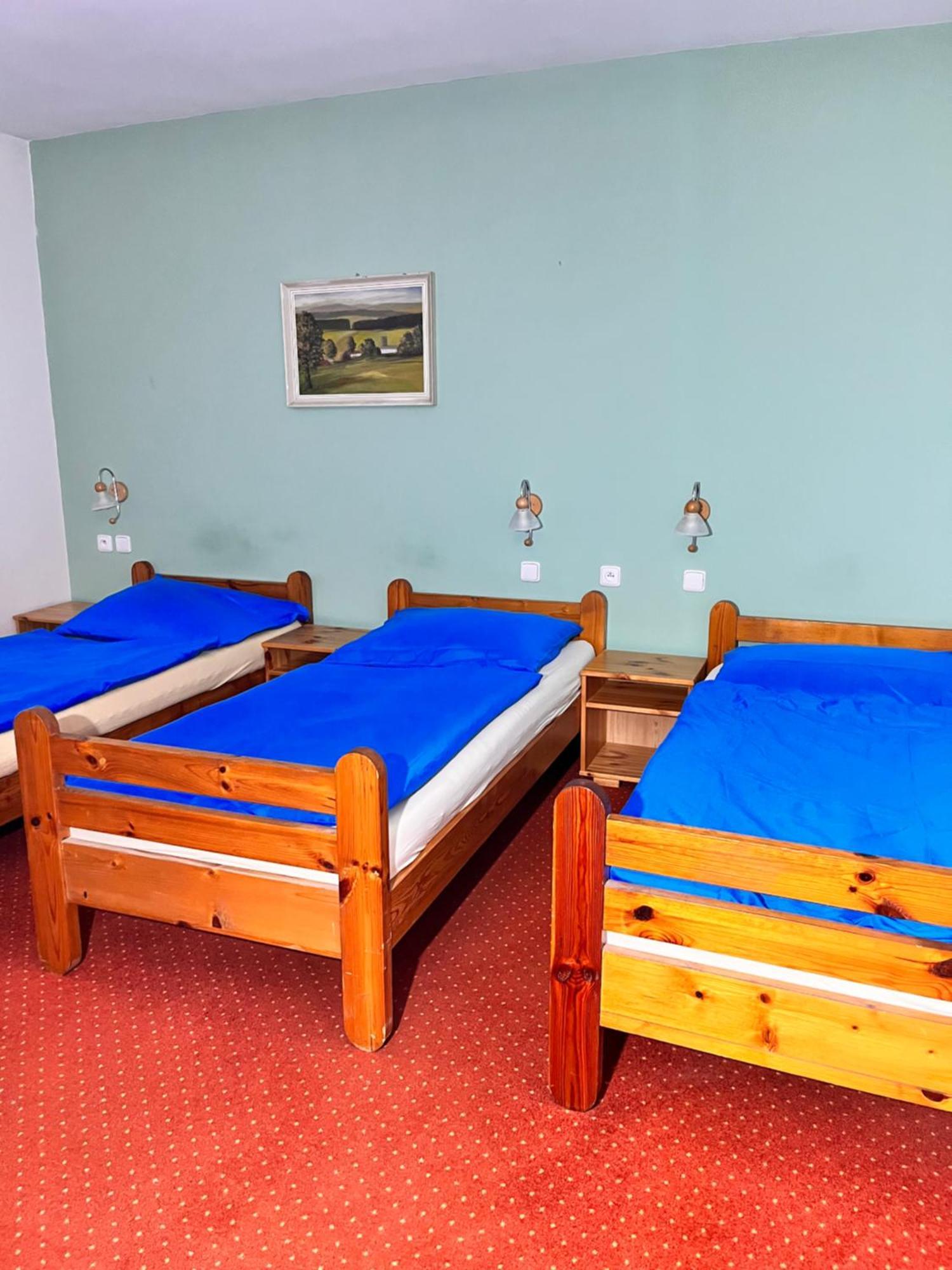 Hotel Vila Morava Liptowski Mikułasz Zewnętrze zdjęcie