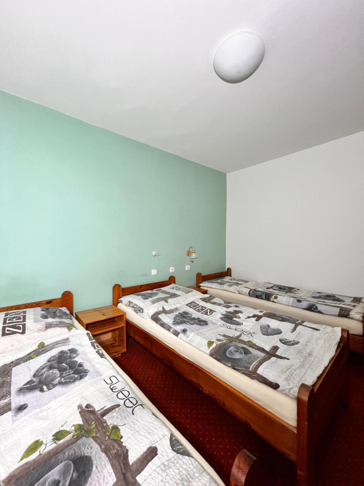 Hotel Vila Morava Liptowski Mikułasz Zewnętrze zdjęcie