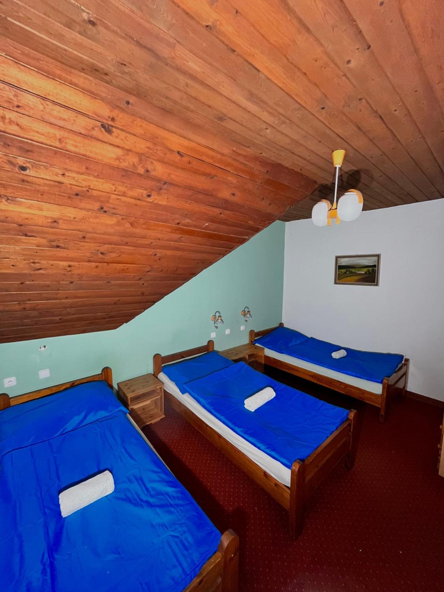Hotel Vila Morava Liptowski Mikułasz Zewnętrze zdjęcie