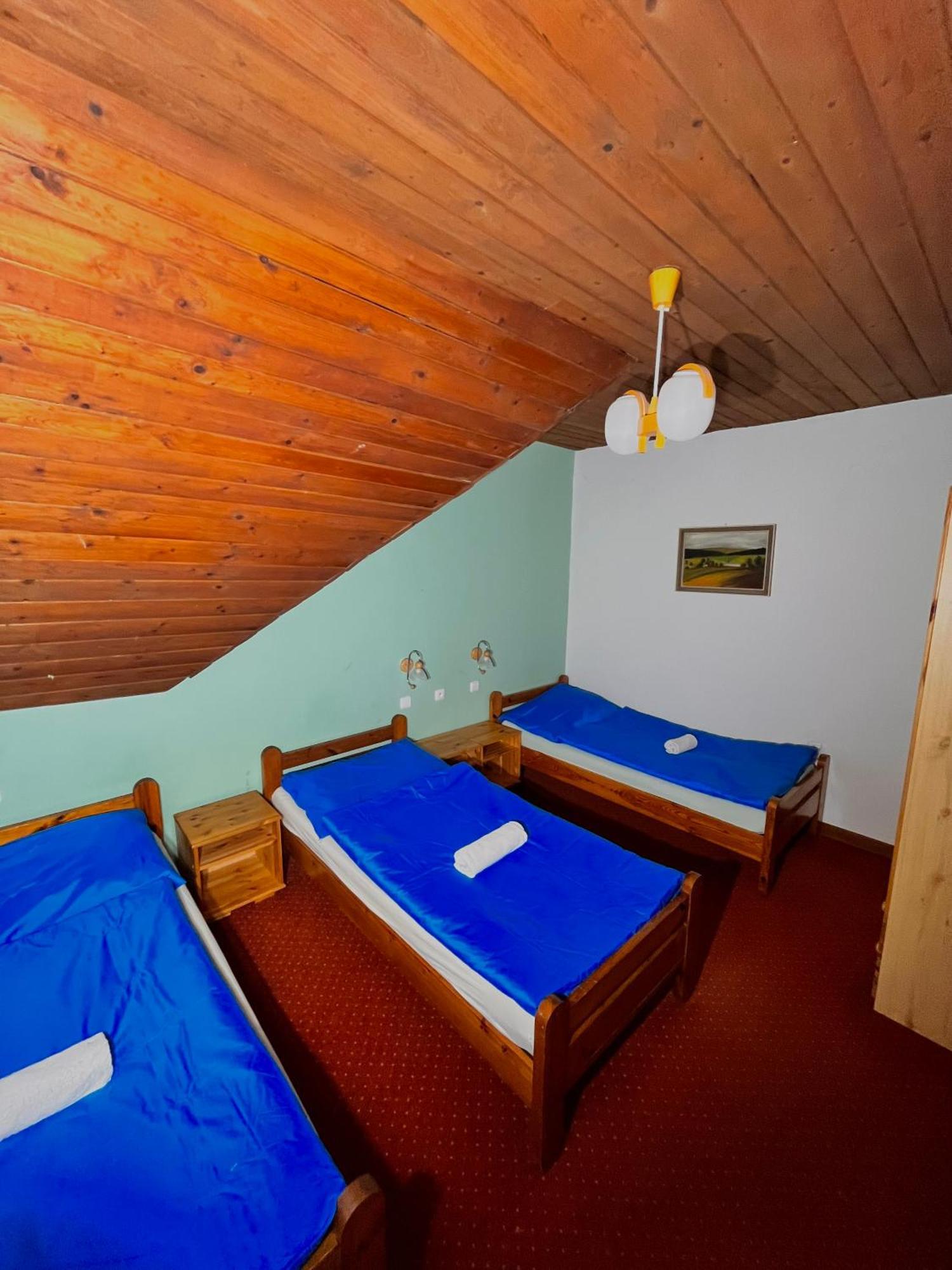 Hotel Vila Morava Liptowski Mikułasz Zewnętrze zdjęcie