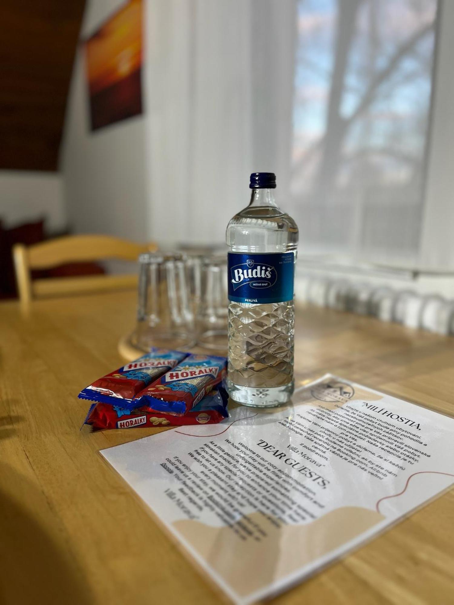 Hotel Vila Morava Liptowski Mikułasz Zewnętrze zdjęcie